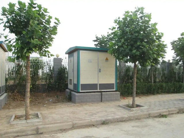 大东1000KVA欧式箱式变压器
